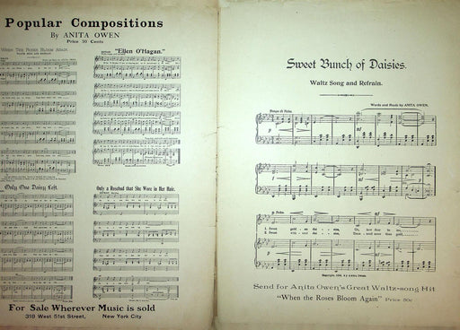1894 Sweet Bunch Of Daisies Vintage Sheet Music Large Anita Owen Ballad Waltz 2