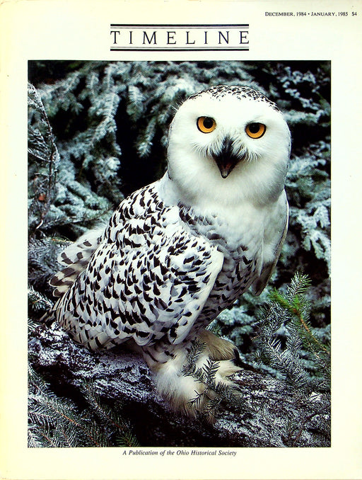 Timeline Magazine Ohio 1984 Vol 1 No. 2 Owl: Sorcerer, Spirit Bird, Predator 1