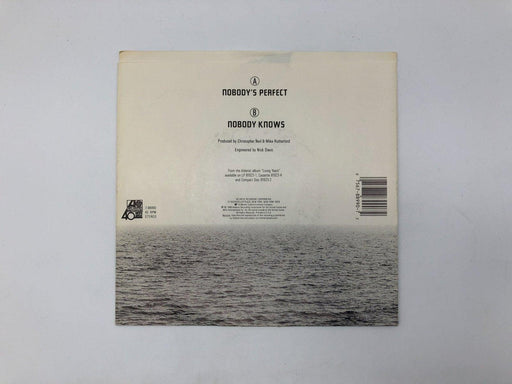 Mike + The Mechanics Nobody's Perfect Record 45 RPM Single 7-88990 Atlantic 1988 2