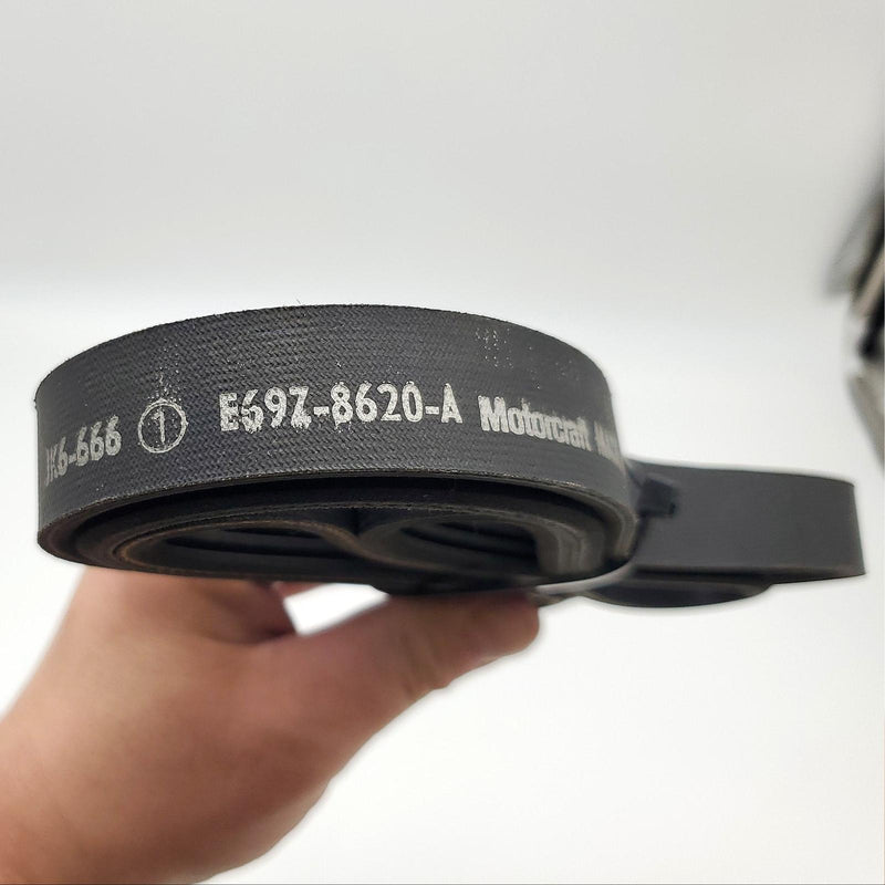 Motorcraft JK6666 Micro-Rib Belt 0.84" Width 66.75" Length 6 Rib 3