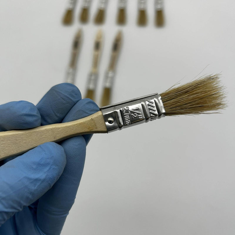 10pk Osborn 70150 Varnish Paint Brush Bristle Wood 1/2 BS X 1/4” Th X 1-3/4” Trm 5