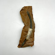 Mopar 32000039 Brake Hose OEM New Old Stock NOS Sealed 3