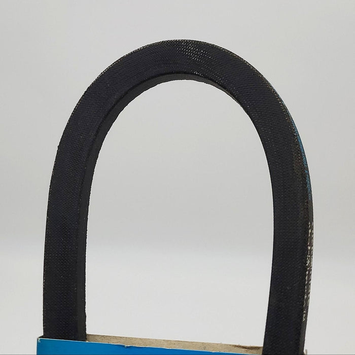 Dayco BP28 Belt Blue Ribbon 21/32" Width 31" Length Industrial V-Belt 3