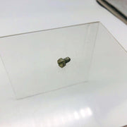 McCulloch 103469 Screw 10-24x3/8 for Mac 10-10E Chainsaw OEM NOS Loose No Pkg 7