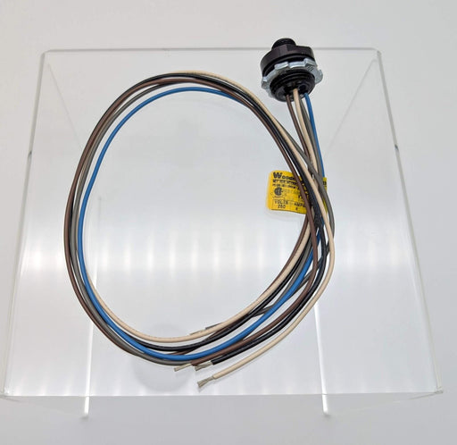 Brad 8R5006A16M005 Micro-Change M12 Receptacle 1/2"-14 NPT 0.5M Len 5 Pole 1