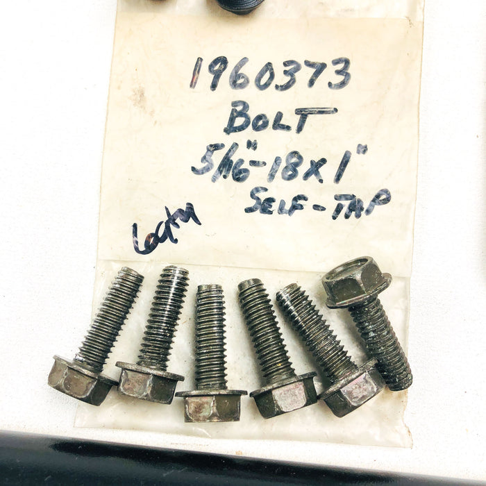 Simplicity 1960373 Hex Screw 5/16-18x1 OEM NOS 704146 Loose Adonized Coated 2