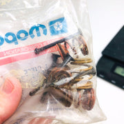 Mopar 83504530 Drum Brake Spring Kit OEM NOS Sealed 2