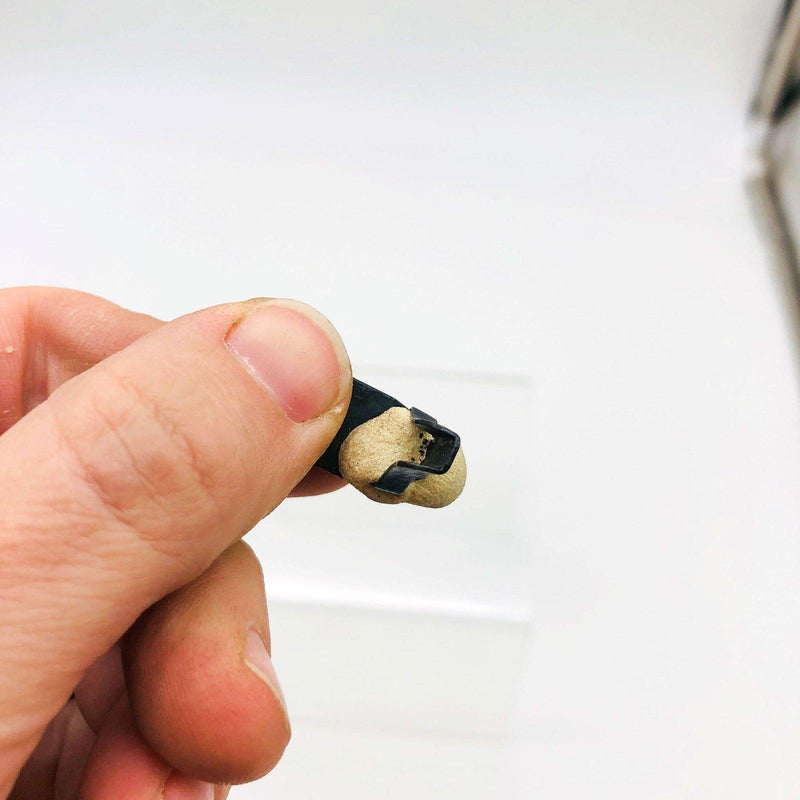 AMC Jeep 4004047 Fastener for Interior Trim Panels 2 Door Wagon Cherokee Black 4