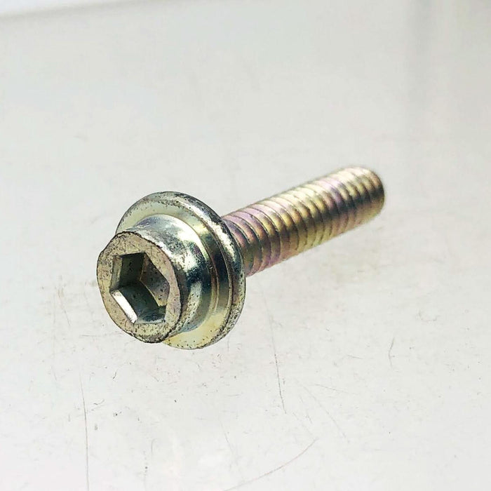 Poulan 530015709 Screw for Chainsaw OEM NOS Superseded to 530015425 Loose No Pkg 1