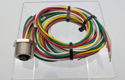 Turck RKFP 56-3M/CS11894 7/8" Mini-Fast Female to Bare Wire 3 Meter Length 1