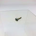 Ariens Gravely 06111200 Screw Machine 10-24x.75 OEM NOS Replaces 008276 Clear 9