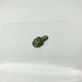 Lawn-Boy 602657 Bolt Screw OEM New Old Stock NOS Loose 5