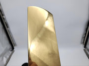 Von Duprin 990EO Exit Only Trim Plate 98 & 99 Exit Devices Polished Brass NOS 4