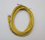 IFM E18201 5 Meter 1/2" 3 Pin Female Connector to Bare Wire 1