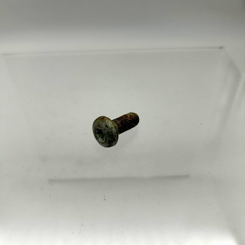 AMC Jeep 34201655 Screw for Tailgate Latch 1ct OEM NOS Loose No Pkg