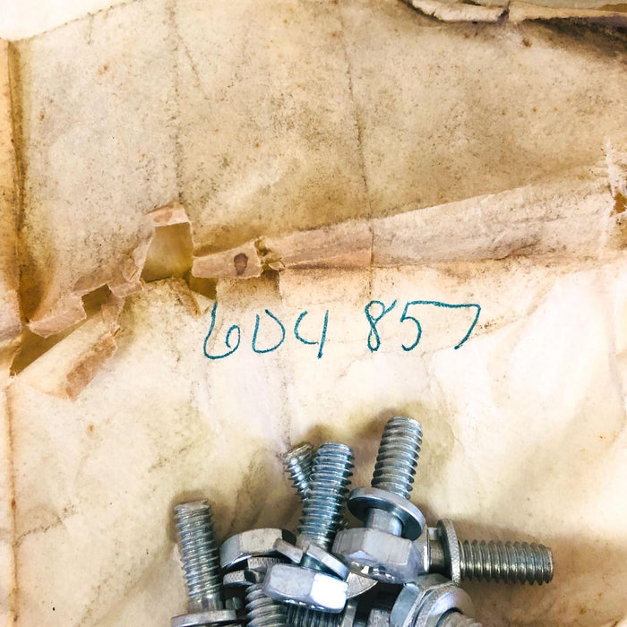 Lawn-Boy 604857 Screw With Lock Washer OEM New Old Stock NOS Loose 2