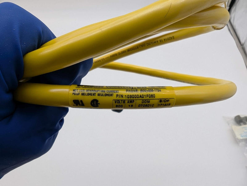 Brad Connectivity 103000A01F060 Micro-Change Cable 3 Pin Female to Bare Wire 6Ft 3