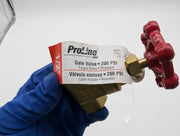 ProLine 1/2" Gate Valve FNPT x FNPT 200 PSI 6TWJ8 Brass 6