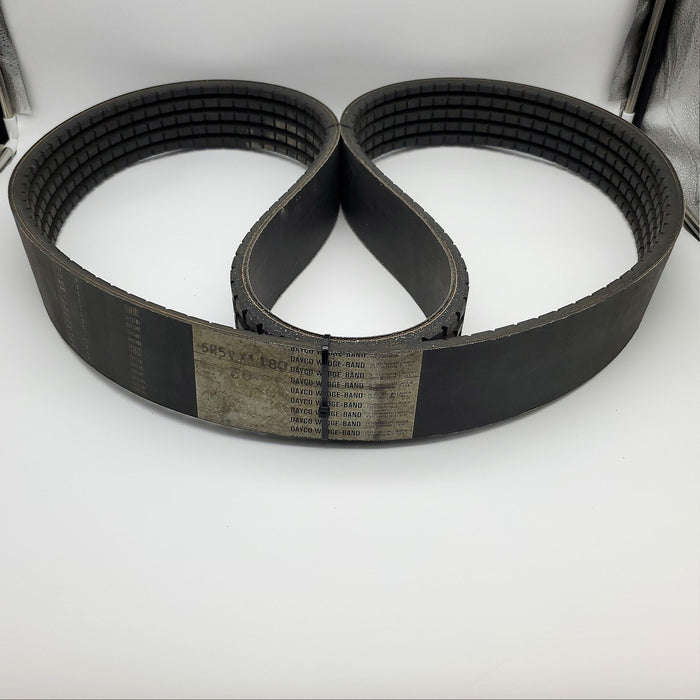 Dayco R5VX1180-5 Belt 5 Band 5VX1180 3-3/8" Width 5/8" EA 119.10" Length 1