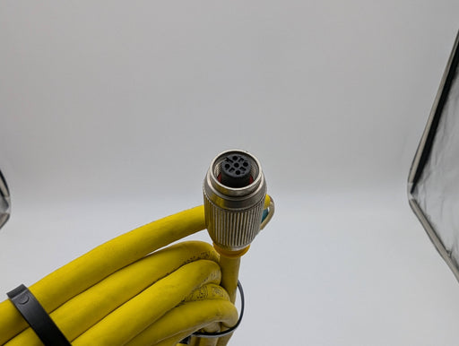 Turck RKG 4.4T-6/S600 Sensor Cable 4 Pin Female to Bare 6 Meter 2