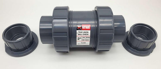 Hayward TC10200ST 2" True Union Ball Check Valve PVC FPM Seals 235 PSI 1