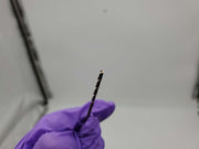 Cle-Line #36 Drill Bits 1-7/16" LOC 2-1/2" OAL 3/32" Shank Cobalt C23398 Pack 12 3