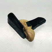 AMC Jeep 4004047 Fastener for Interior Trim Panels 2 Door Wagon Cherokee Black 1