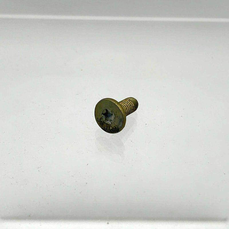 AMC Jeep 34201996 Screw for Rear Lift Door Latches Hinges OEM NOS Loose No Pkg