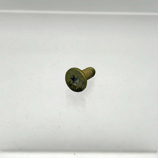 AMC Jeep 34201996 Screw for Rear Lift Door Latches Hinges OEM NOS Loose No Pkg 1