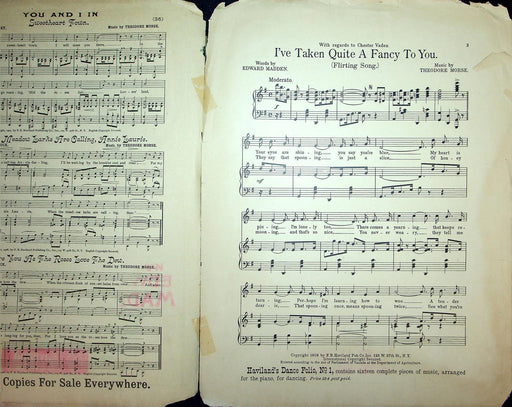 1908 I've Taken Quite A Fancy To You Sheet Music Large Theodore Morse Flirting 2