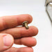 Lawn-Boy 604881 Screw OEM New Old Stock NOS Loose No Pkg 3