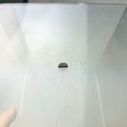 Gravely 06609400 Key Woodruff .06x.25 HRD OEM NOS Replaces 431788 4