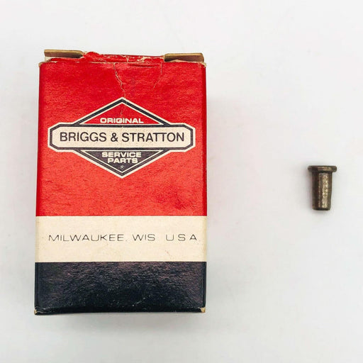 Briggs and Stratton 231143 Plug Plunger Hole OEM NOS Superseded to 692882 1