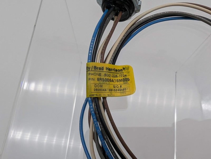 Brad 8R5006A16M005 Micro-Change M12 Receptacle 1/2"-14 NPT 0.5M Len 5 Pole 3