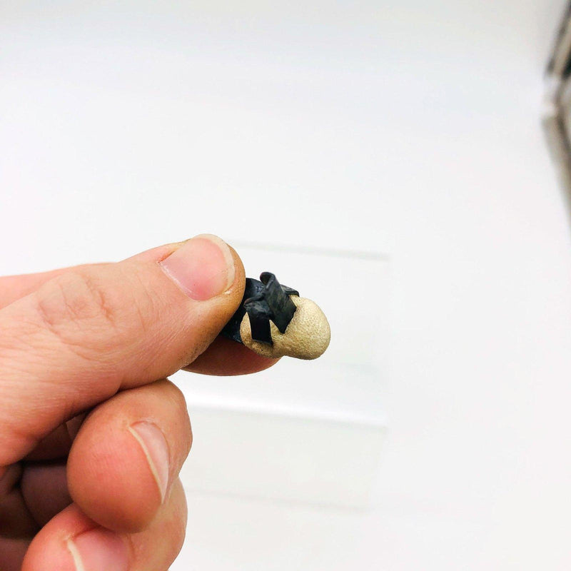 AMC Jeep 4004047 Fastener for Interior Trim Panels 2 Door Wagon Cherokee Black 3