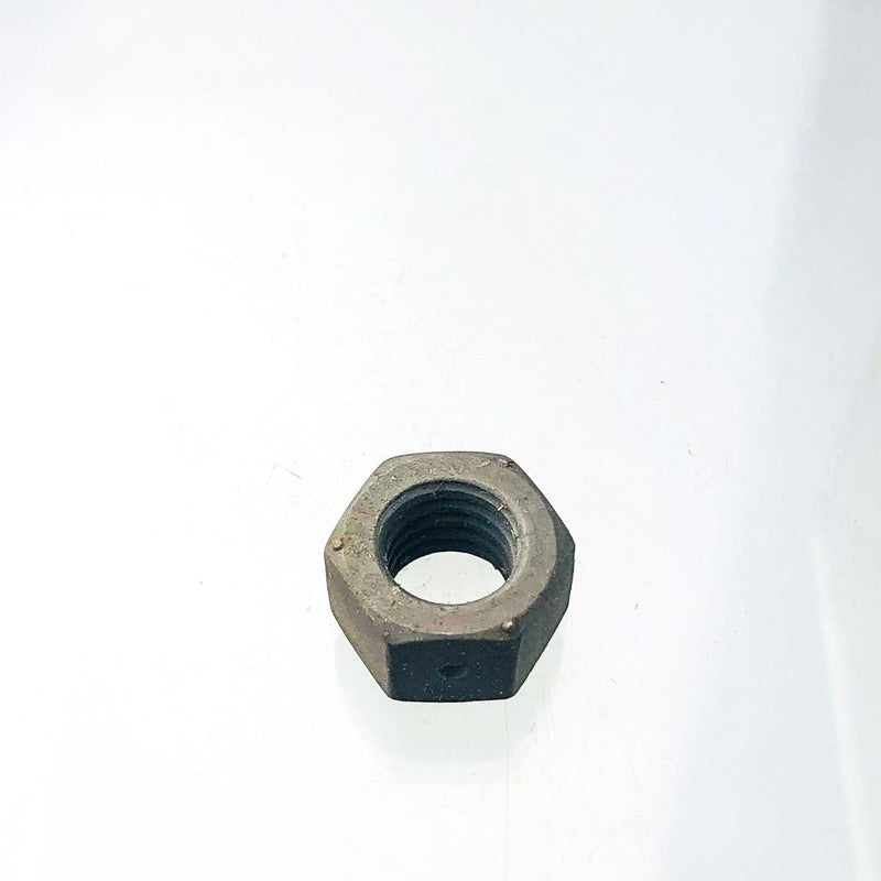 Simplicity 1930651 Nut OEM NOS 3031355 / 3031560 / 922694 / 703893 Galvanized 9