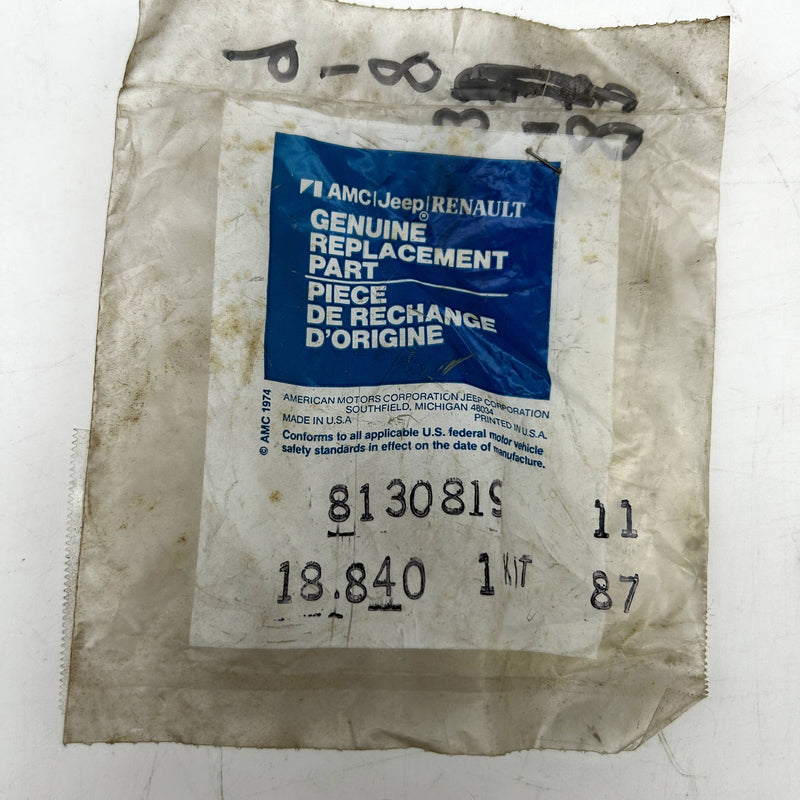 AMC Jeep 8130819 Bearing Package for Gear Train Yoke NPG 208/219/228/229 OEM NOS 4