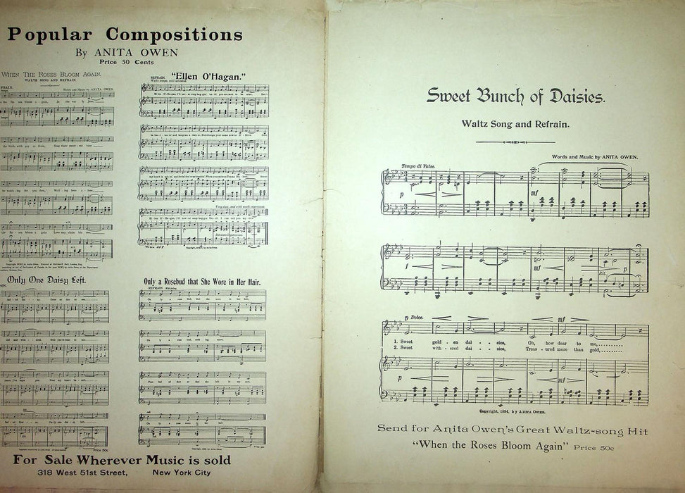 1894 Sweet Bunch Of Daisies Vintage Sheet Music Large Anita Owen Ballad Waltz 2