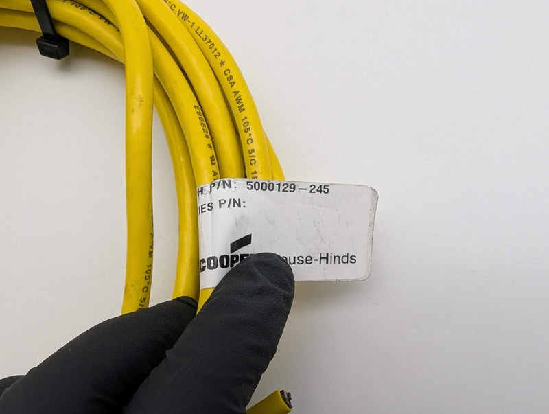 Crouse Hinds 5000129-245 Micro-Mini Cable 5 Pin Female to Bare Wire 3 Meter