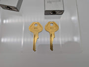 2x American Lockout Padlocks 1" Shackle 1.5" Silver Body Keyed Alike 1 Key NKR 6