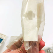 Mopar 36001900 Lamp for License Plate OEM New Old Stock NOS Sealed 5