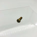 Lawn-Boy 306483 Screw OEM New Old Stock NOS Loose Coated Yellow 6