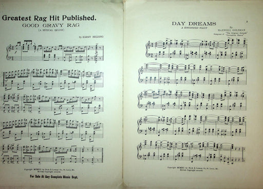 1912 Day Dreams Vintage Sheet Music Large Maxwell Goldman Syncopated Waltz 2