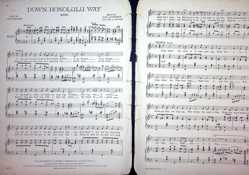 1916 Down Honolulu Way Sheet Music Large Earl Burtnett Jos Burke JE Dempsey 2