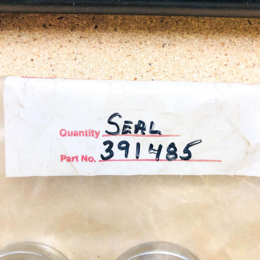 Briggs and Stratton 391485 Oil Seal OEM NOS 294167 Made by IPC USA 2
