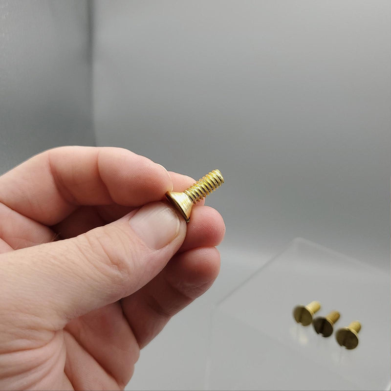 Rixson 107046 Cement Case Screws Satin Brass for Rixson Floor Closers Set of 4 3