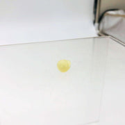 AMC Jeep 3213949 Plug Metering for Vapor Canister OEM NOS 81-86 CJ 5-8 Scrambler 7