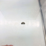 Poulan 530042118 Woodruff Key for Chainsaw OEM New Old Stock NOS Loose No Pkg 9