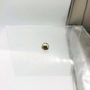 Snapper 12134 Push Nut OEM NOS Superseded to 7012134YP Made by PAL Loose 5