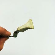 Lawn-Boy 679640 Knob and Spring Lever OEM New Old Stock NOS Loose Wear 4